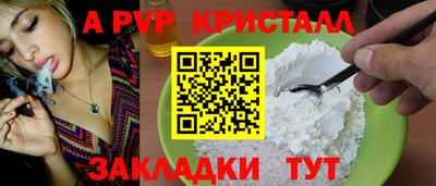МДПВ Кингисепп