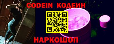МДПВ Кингисепп