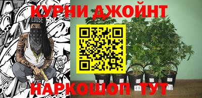 МДПВ Кингисепп