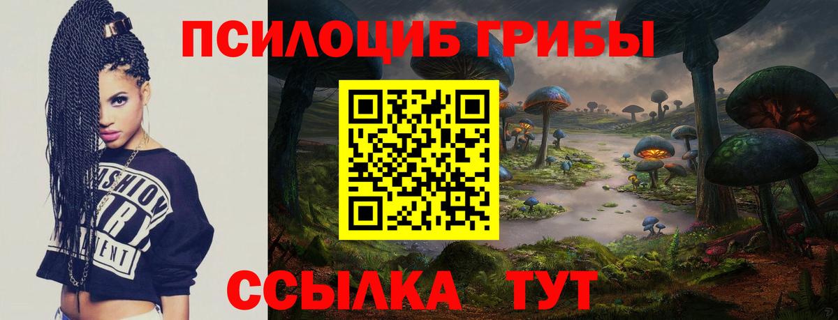 Псилоцибиновые грибы MAGIC MUSHROOMS Дедовск